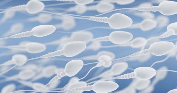 le sperme